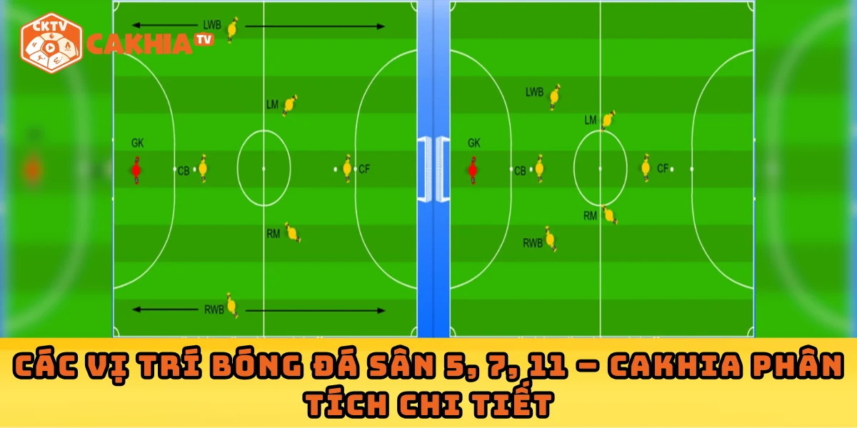 Các vị trí bóng đá sân 5, 7, 11 – Cakhia phân tích chi tiết